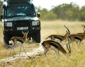 Jambo Kenya