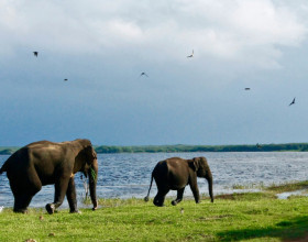 Sri Lankan Getaway